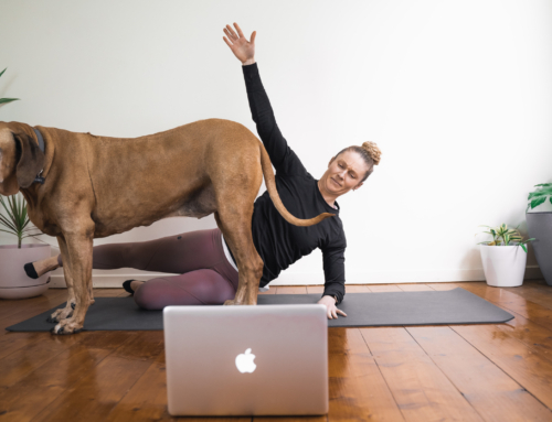 Online Workouts: Adapting to the new normal in a COVID 19 world.
