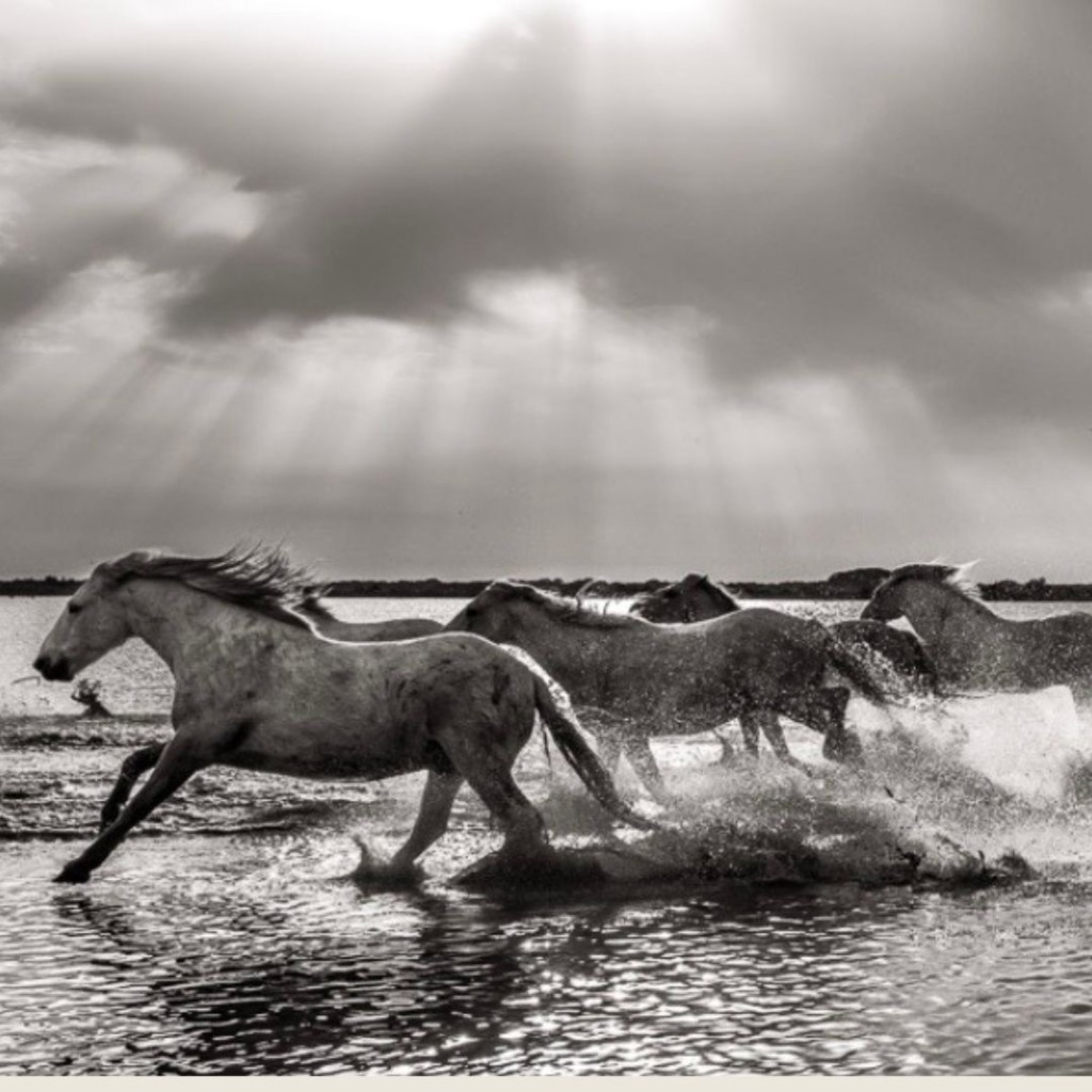 Newsletter_Square_Current – 3